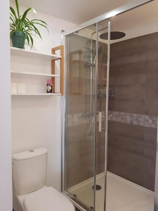 Chaleureux 5 Mns Chaine Des Puys Apartment Saint-Genes-Champanelle